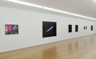 Chen Wei: Falling Light, installation view
