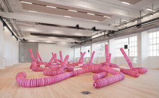 DO NOT TOUCH THE WORMS, installation view