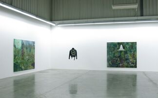 Dreams in Blue. The Year Philip Mueller Didn't Wake Up., installation view