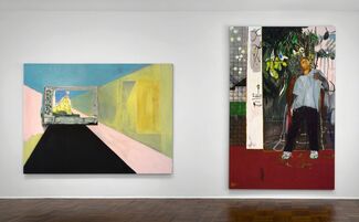 "Peter Doig", installation view