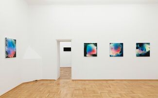 BERNARD FRIZE - Turn the Pieces into a Place, installation view
