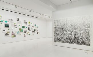 A Great Piece of Turf, installation view