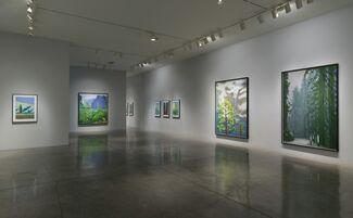 David Hockney: The Yosemite Suite, installation view