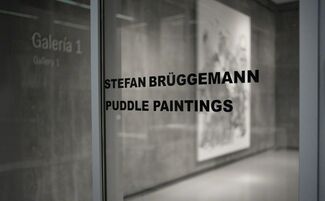 Stefan Bruggemann / Puddle Paintings, installation view