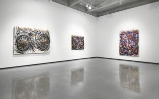 Arman: Cycles, installation view