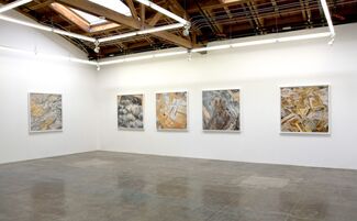 David Maisel: The Fall, installation view