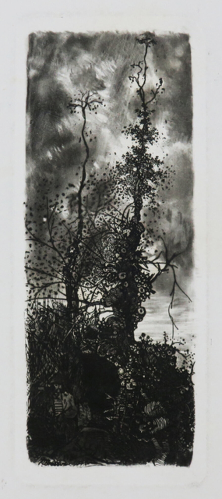 L'Ermite sous les arbres.