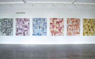New Paintings by Evert Witte and Photographic Works by Sandra Russell Clark, installation view