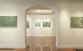 The View From Here: Paintings by Lanna Pejovic, installation view