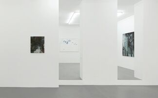Nelleke Beltjens | Natascha Schmitten | WORLDS WITHIN, installation view