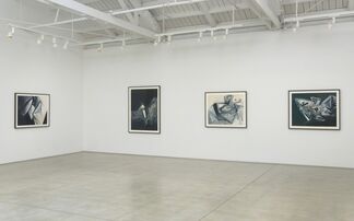 Jay DeFeo: Paintings on Paper: 1986 - 1987, installation view