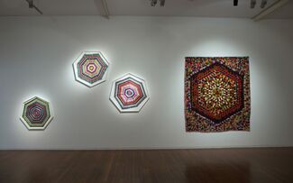Del Kathryn Barton, pressure to the need, installation view