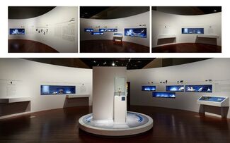 NEOLITHIC PEOPLE: A NEW LIFE AND A NEW CLIMATE, installation view