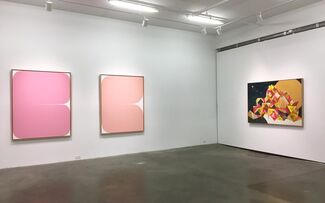 Intercepting the Nature of Colour and Form, installation view