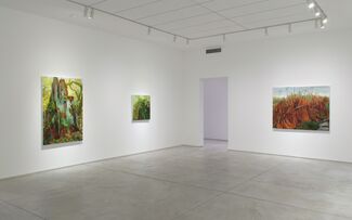 Kristin Musgnug – "Low Down and Close Up: Paintings of the Forest Floor", installation view