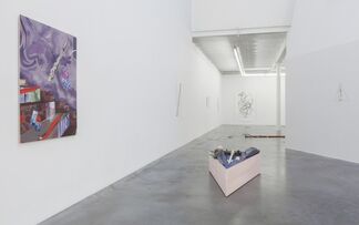 Natural Perfection, installation view