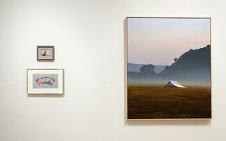 In The Pink, installation view