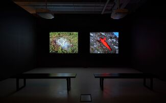 Five Artists: Sites Encountered, installation view