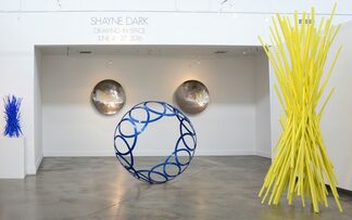 Drawing In Space- Sculptures by Shayne Dark, installation view