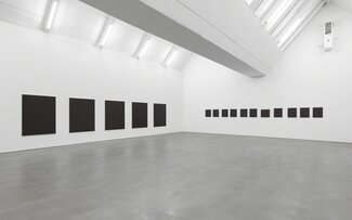 Maria Taniguchi, installation view
