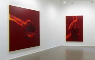 Daniel Lergon | Crimson, installation view