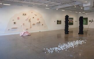 2017 MFA Candidacy Exhibition, installation view