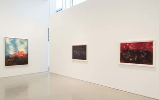 Norman Lewis: A Selection of Paintings and Drawings, installation view