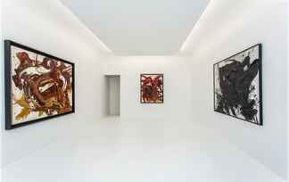 Kazuo Shiraga, installation view