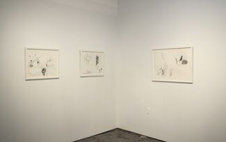Maria Lynch: Black Over White, installation view