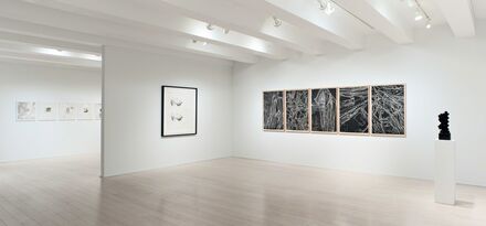 Black/White: Including editions and monoprints by Tara Donovan, Leonardo Drew, Paul Morrison and Vik Muniz, installation view