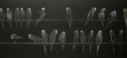 Graeme Peebles, ‘budgerigars ’, 1991-1992