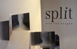 Split | Alec Von Bargen Solo Exhibition, installation view