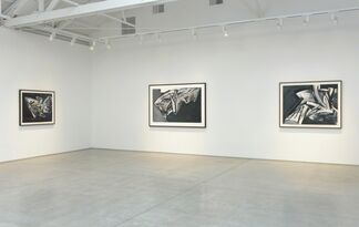 Jay DeFeo: Paintings on Paper: 1986 - 1987, installation view