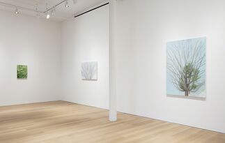 Sylvia Plimack Mangold: Summer and Winter, installation view