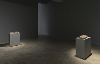 Anri Sala, installation view