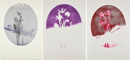 Colin Self, ‘Out of Focus Object and Flowers No 2 (The 1940s); Out of Focus Object and Flowers No.1 (Provincial Image); & Out Of Focus Object and Flowers No 3 (The 1940s)’, 1968