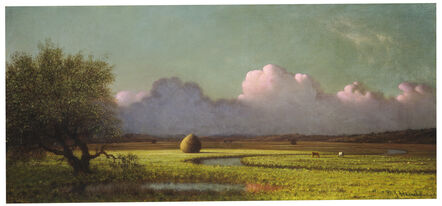 Martin Johnson Heade, ‘Sunlight and Shadow: The Newbury Marshes’, ca. 1871/1875