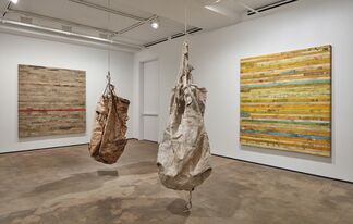 Hugo McCloud: Veiled, installation view