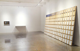 Taxonomy of a Landscape, installation view