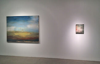 Shawn Dulaney, All the Open Space, installation view
