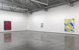 Lesley Vance | A Zebra Races Counterclockwise, installation view