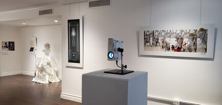 Ryuhow and Koko Shimizu: Future of Life, installation view