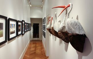 Low Country, installation view