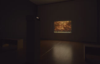 Lucas Arruda, installation view