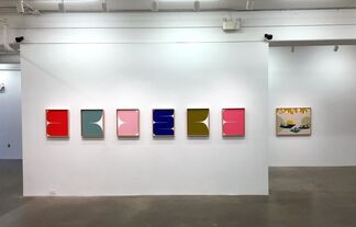 Intercepting the Nature of Colour and Form, installation view