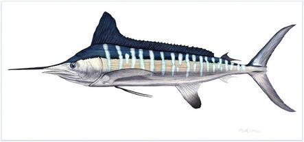 Flick Ford, ‘White Marlin’, 2017