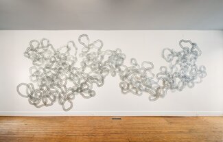 Tara Donovan: Slinkys, installation view