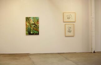 The Forest Electric: Amanda Besl, installation view