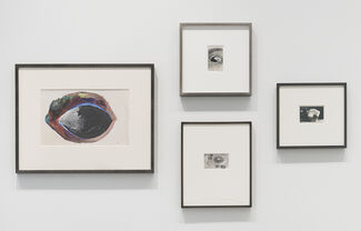 Outrageous Fortune: Jay DeFeo and Surrealism, installation view