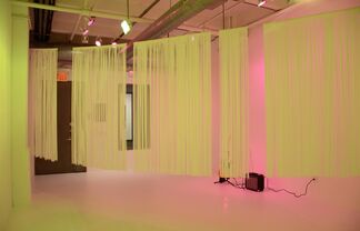 Lynne Harlow: Against the Velvet of the Long Goodbye, installation view